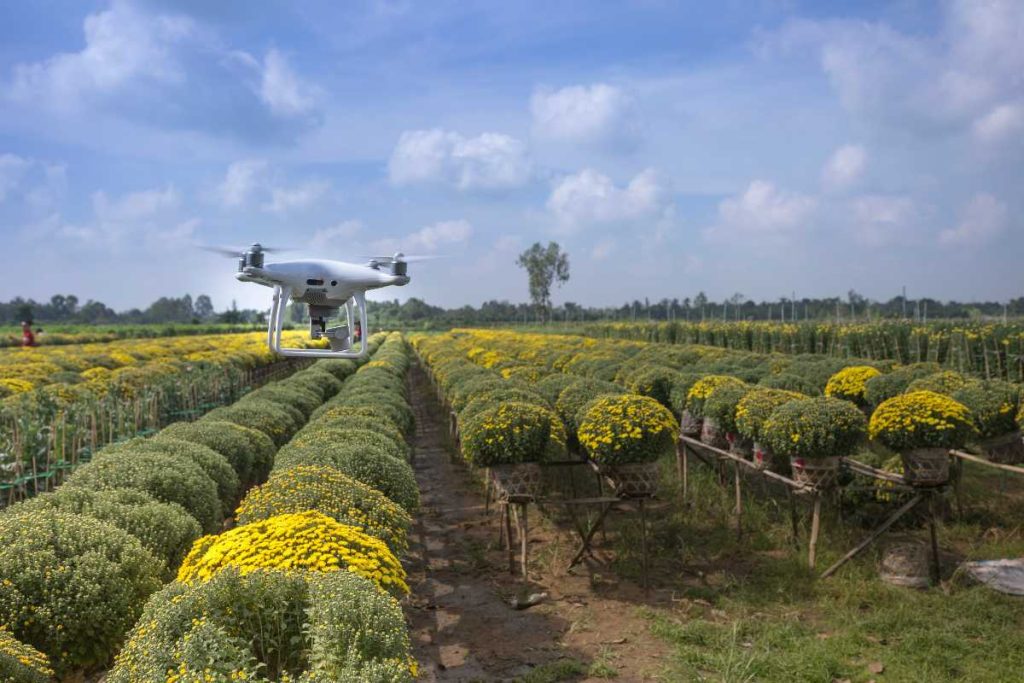 Drone in agriculture