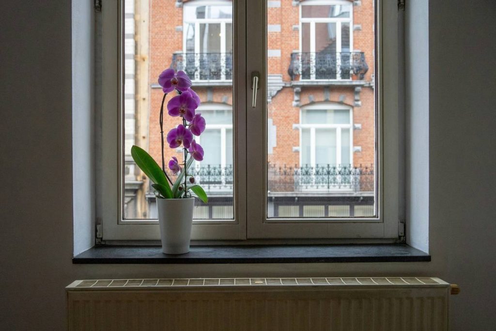 Window Finishes