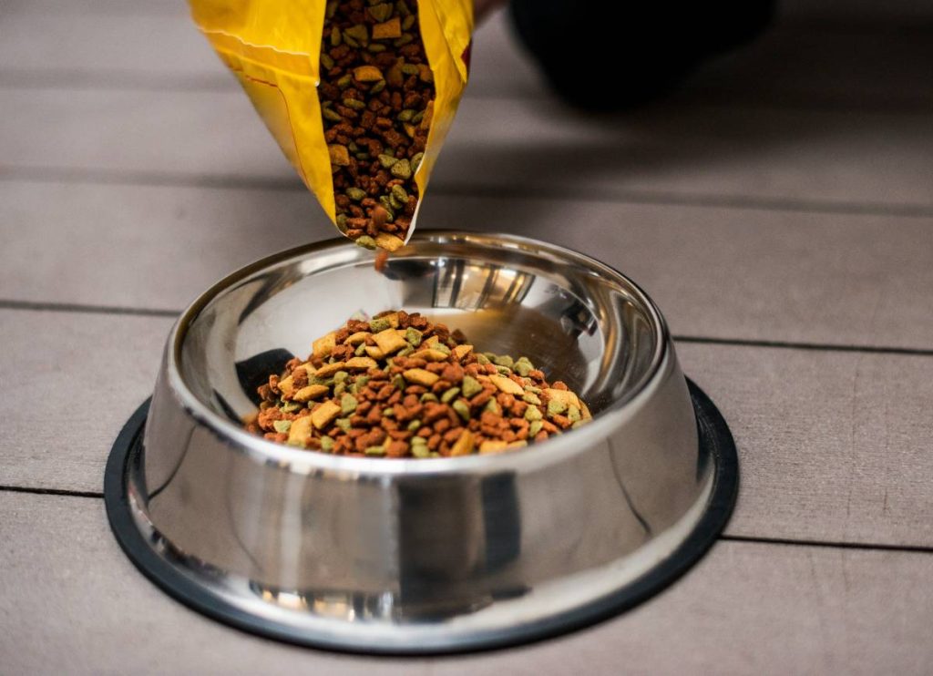 dog food
